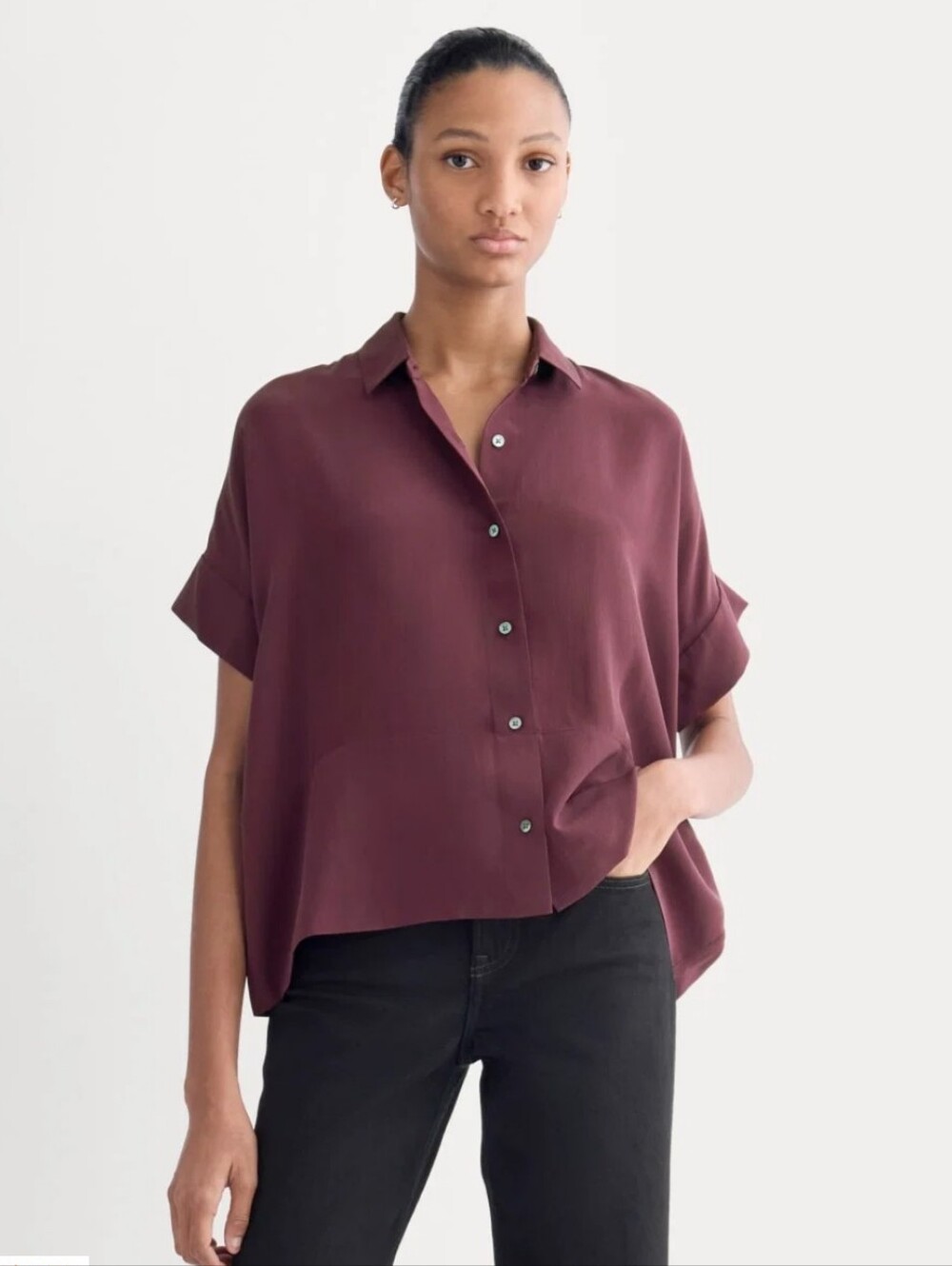 🆕EVERLANE The Relaxed Shirt In Washable Silk